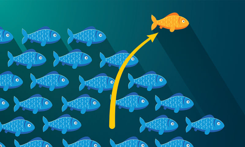 What Is An Independent Educational Consultant 