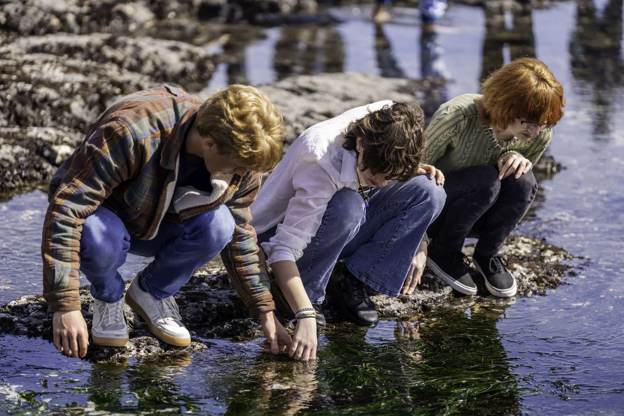 A group of high school marine science students tide pooling.