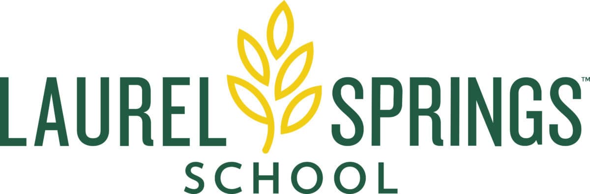 Laurel Springs School